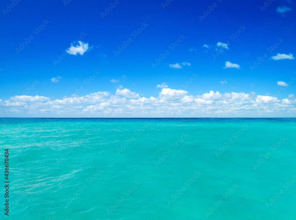 Obraz premium beach and tropical sea. nature background