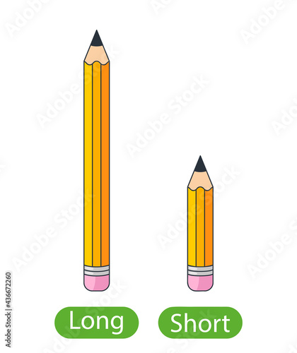 long and short pencils. concept of children learning opposite adjectives. vector illustration