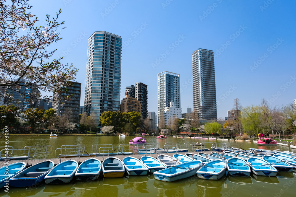 東京都台東区 上野公園 ボート乗り場 Stock 写真 Adobe Stock