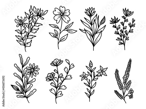 Hand drawn sketch of flowers, line art illustration.