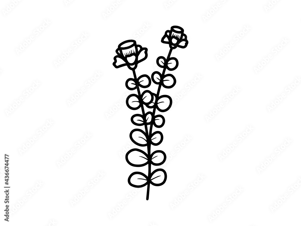 Hand drawn sketch of flowers, line art illustration. Hand drawn sketch of flowers, line art illustration.