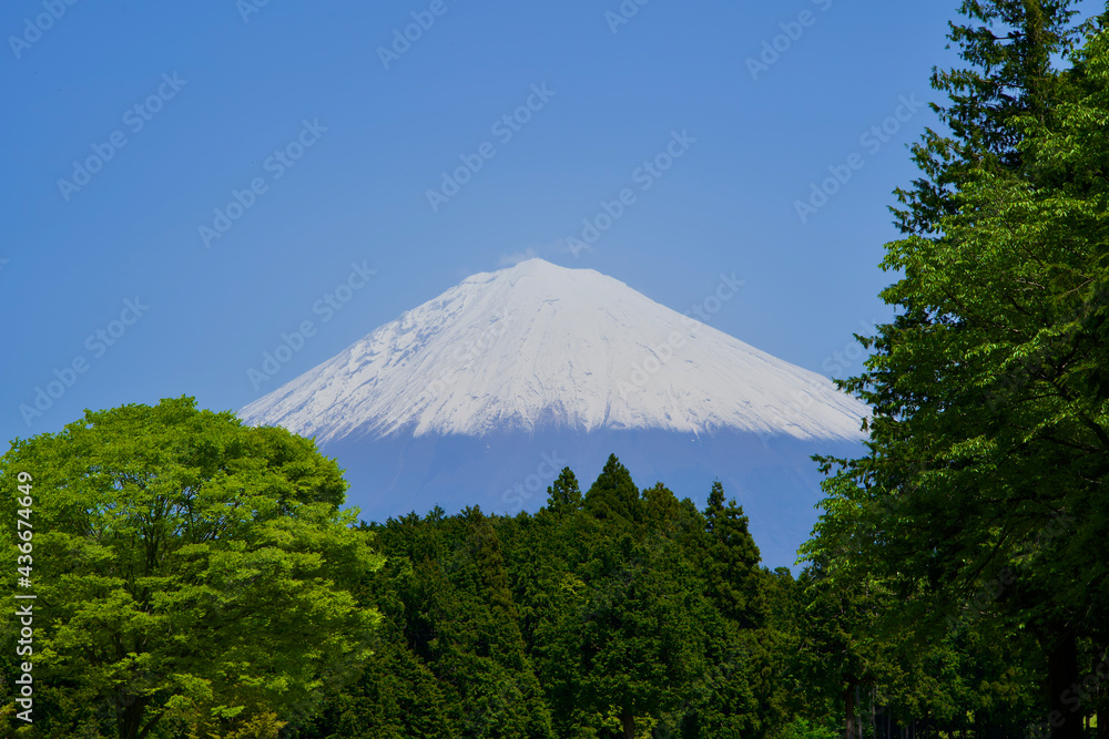 Fuji mountain with snow in May.