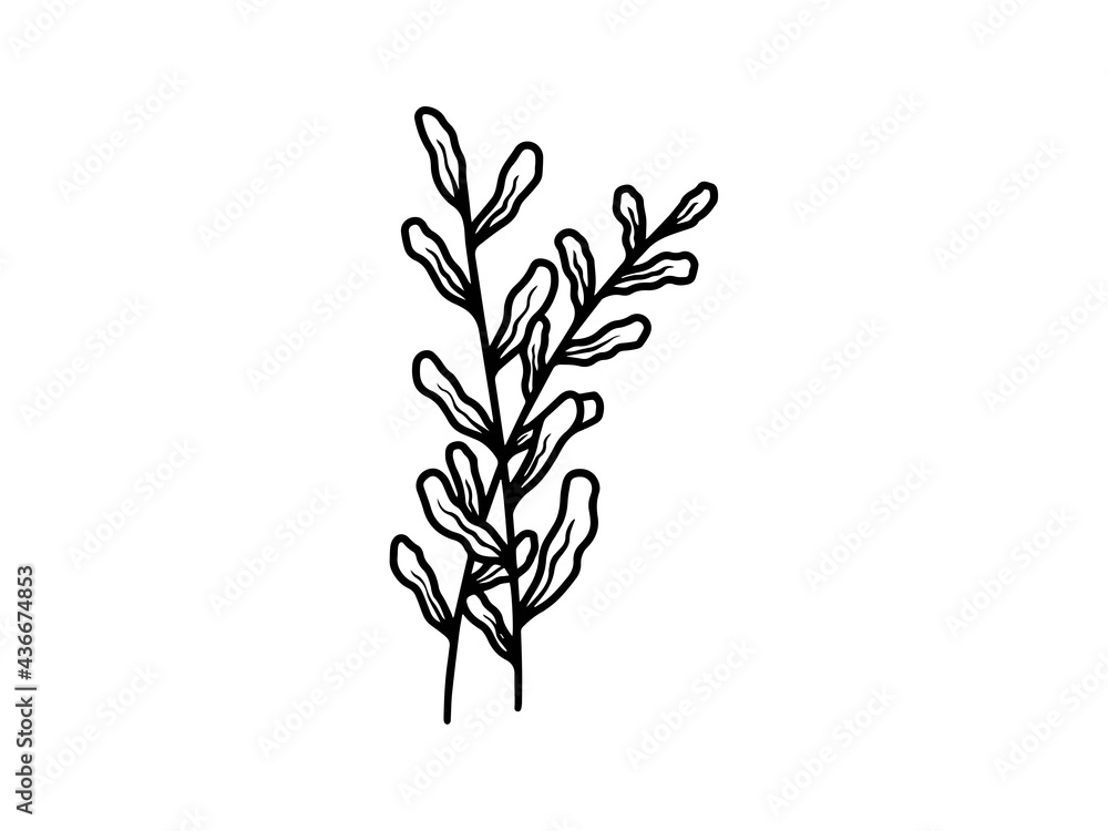Hand drawn sketch of flowers, line art illustration. Hand drawn sketch of flowers, line art illustration.