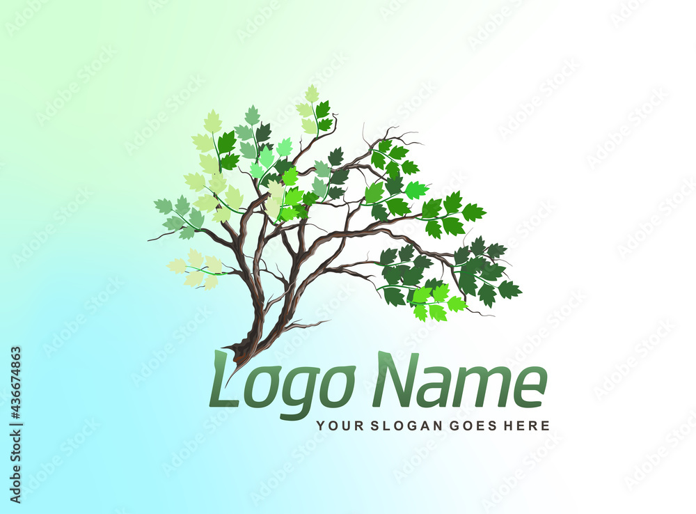 Obraz premium tree logo design template