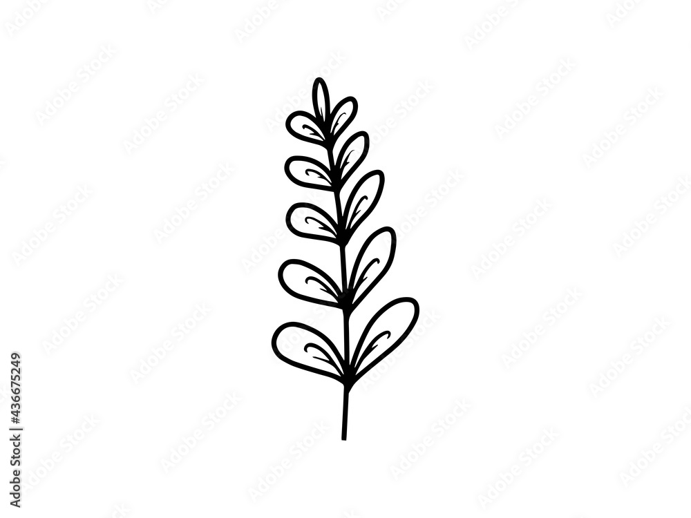 Hand drawn sketch of flowers, line art illustration. Hand drawn sketch of flowers, line art illustration.