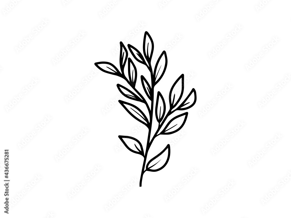 Hand drawn sketch of flowers, line art illustration. Hand drawn sketch of flowers, line art illustration.