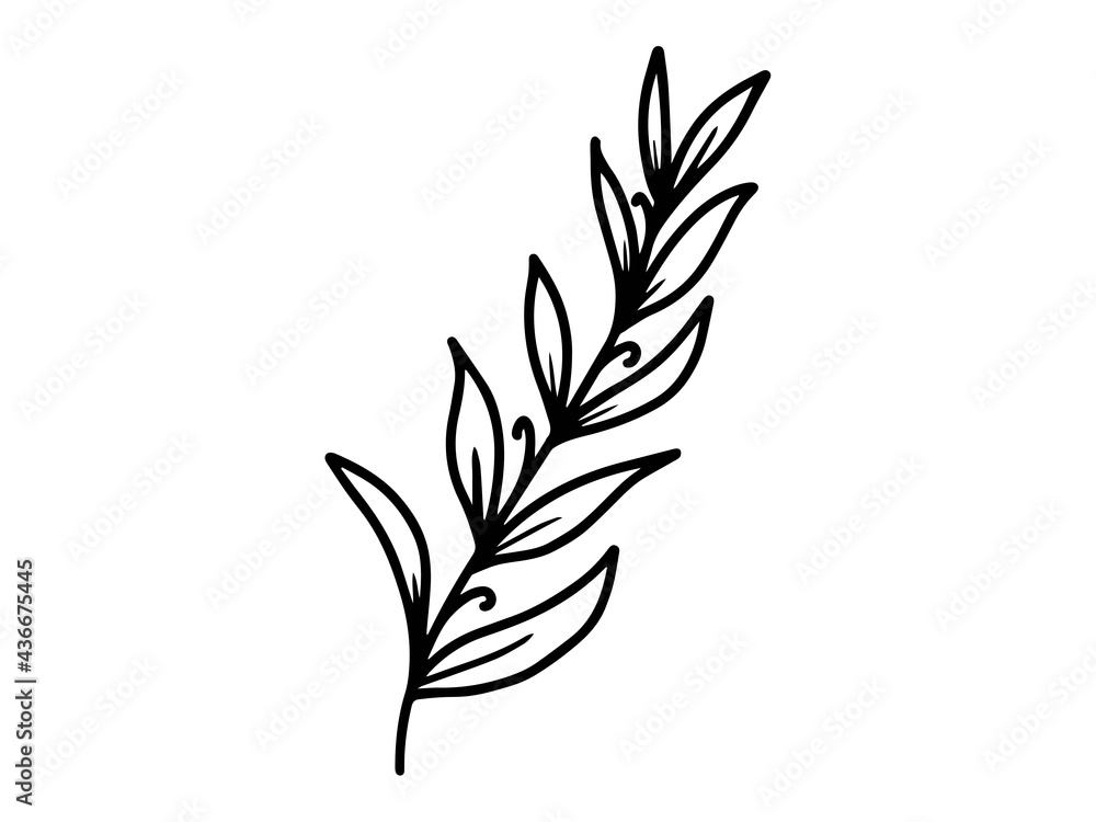 Fototapeta premium Hand drawn sketch of flowers, line art illustration.