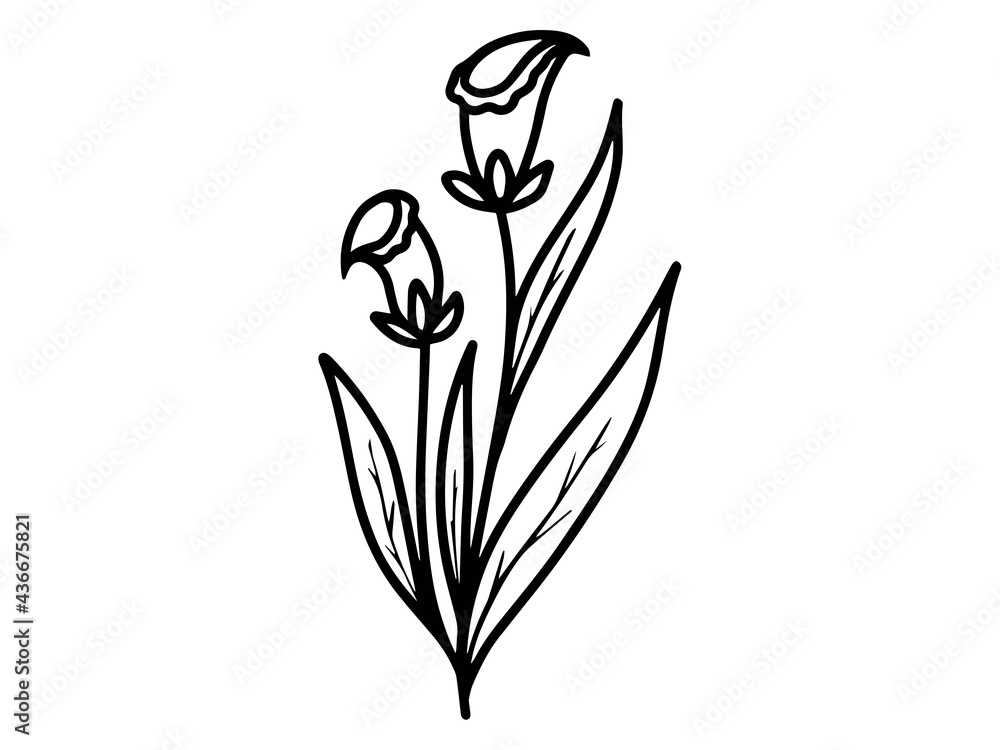 Hand drawn sketch of flowers, line art illustration. Hand drawn sketch of flowers, line art illustration.