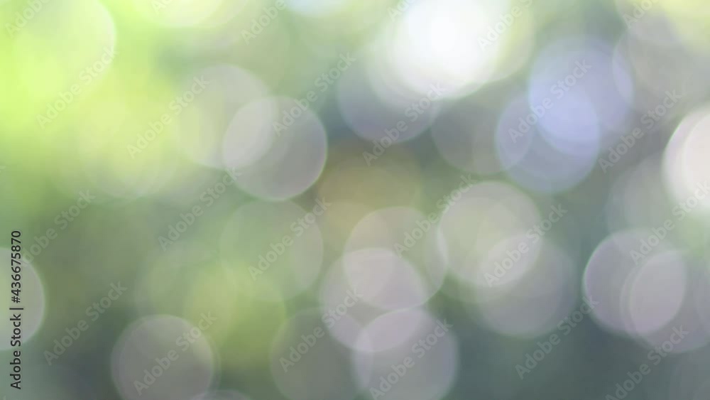 Blur bokeh light background .Summer concept of abstract nature blurred background. Sun breaking through leaves blurred bokeh background. Blur bokeh light background .Summer concept of abstract nature blurred background. Sun breaking through leaves blurred bokeh background.