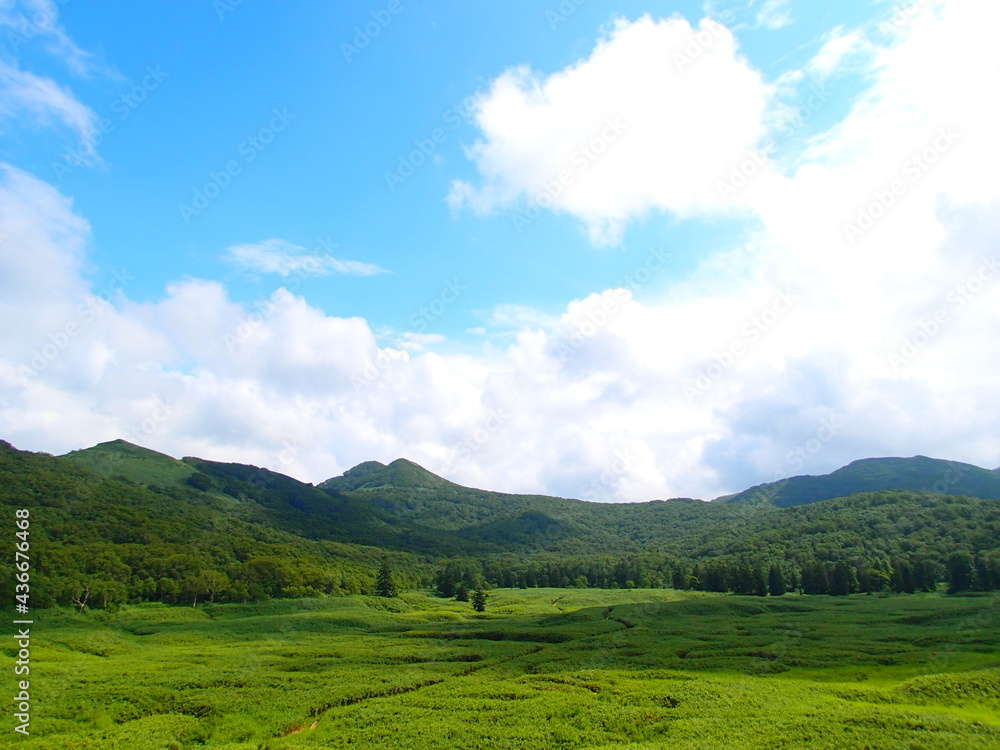 Obraz premium 神仙沼湿原（北海道岩内郡共和町）