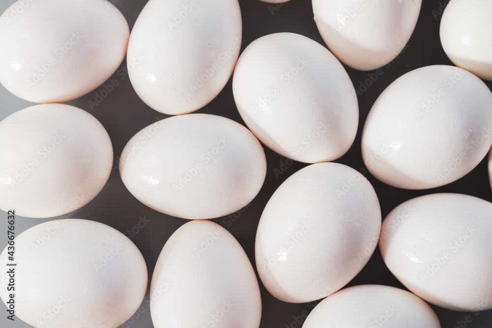 Background of white chicken eggs on a gray background