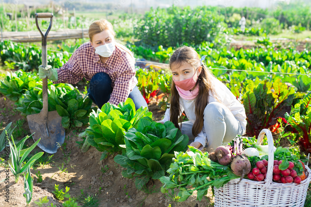 Fototapeta premium Portrait of a young woman with a teenage girl in protective masks, working in the garden during the pandemic