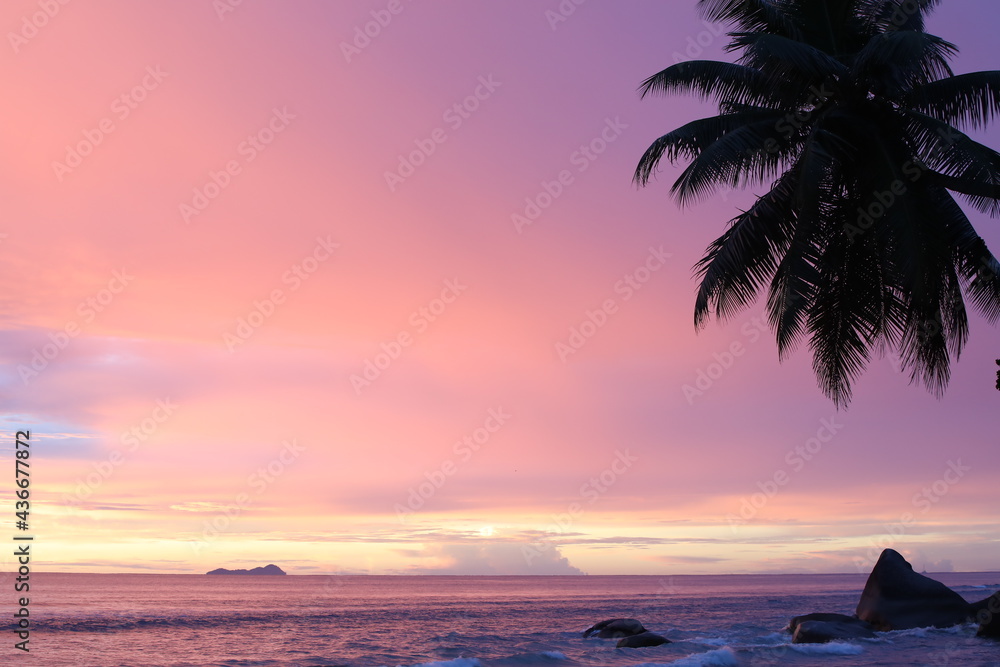 Pink sky with silhouette of palm trees and purple sea with boulder on the shore.Beautiful tropical sunset with island on the horizon.Background image of colorful nature at dusk