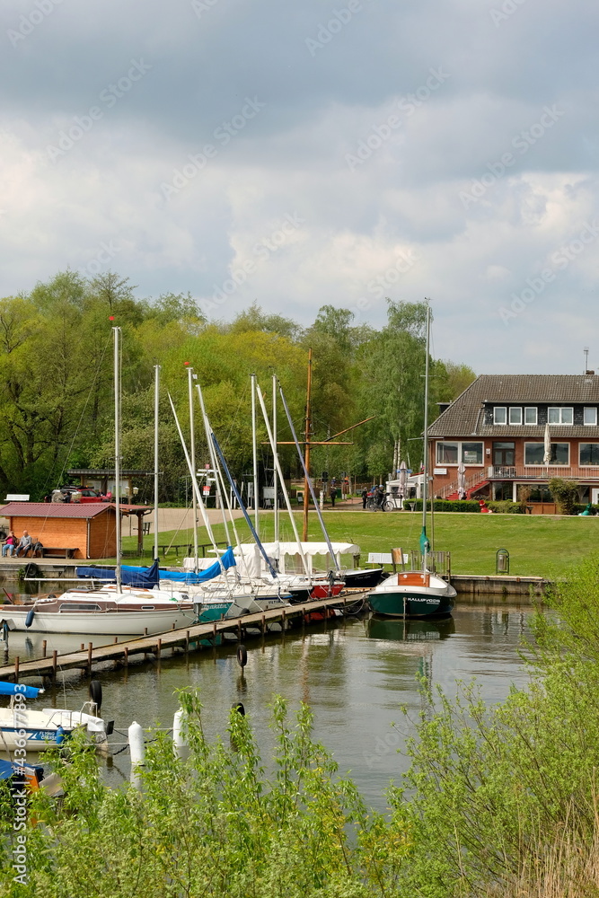 Fototapeta premium am Dümmersee