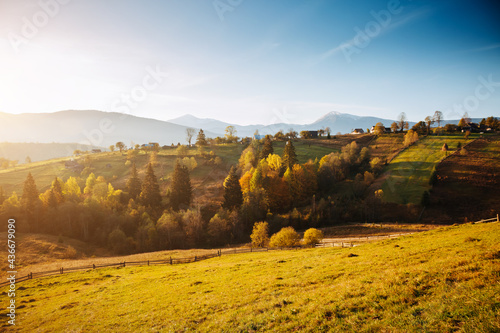 Attractive sunny day in autumn mountains. Location place of Carpathian mountains, Ukraine.