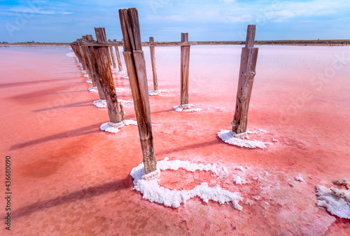 Conceptual photo on a pink salt lake. Minimalistic landscape, Ukraine, nature photo
