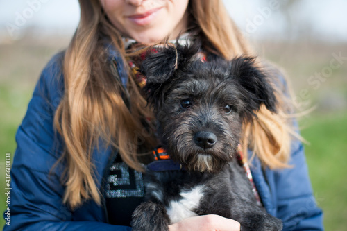 portrait of a black puppy. woman holding the animal in her arms. Portrait of a young black dog close-up. Charming dog posing, smiling. concepts of friendship, care. domestic animal. girl and puppy