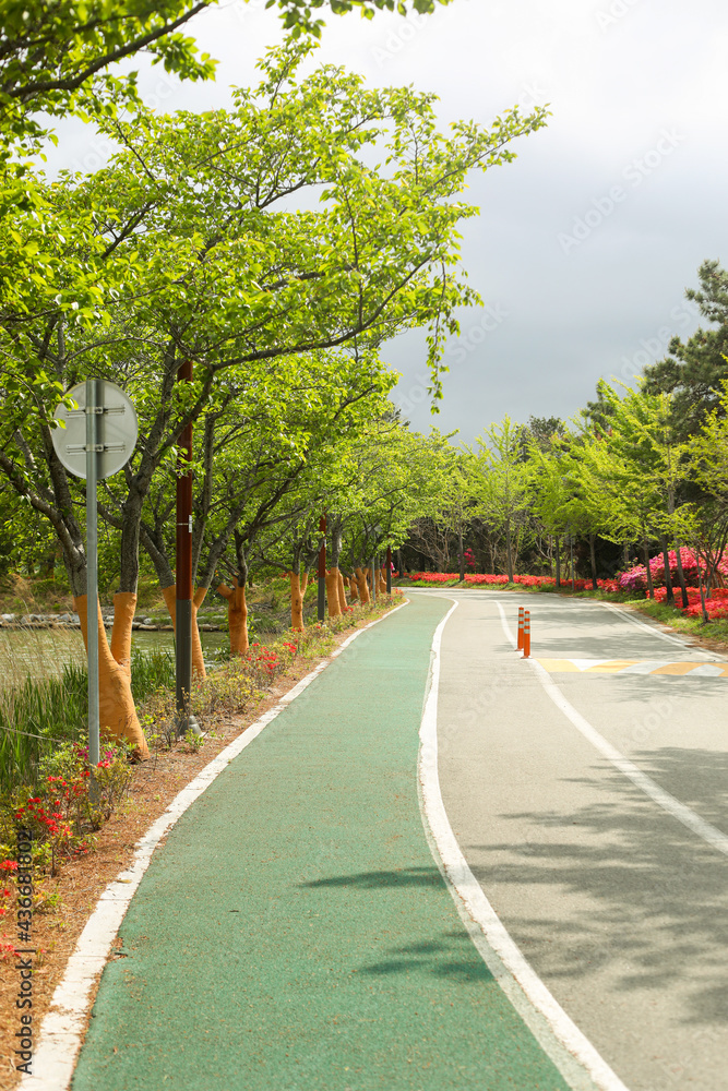 road in the park road in the park