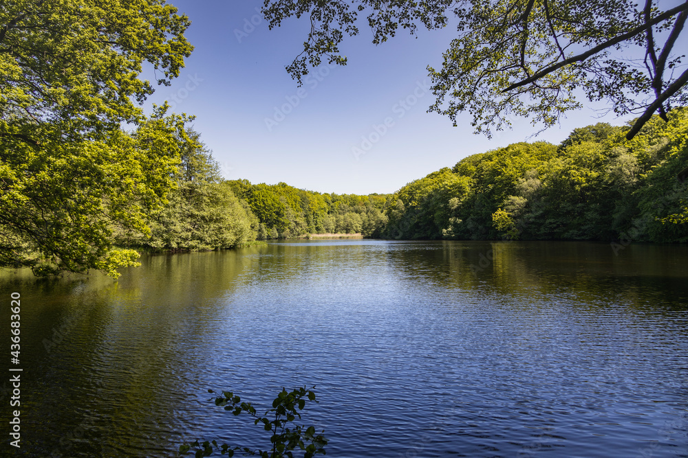 Fototapeta premium Hahnheide nature reserve - small pond