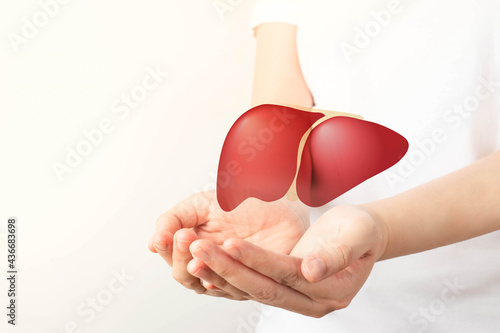 Healthy liver. Human hands holding liver symbol on white background. Protecting against liver disease and organ donation concept. photo