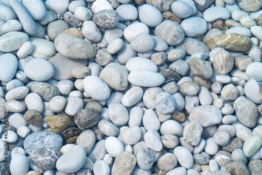 White rocks on the beach. Close up background White rocks on the beach. Close up background