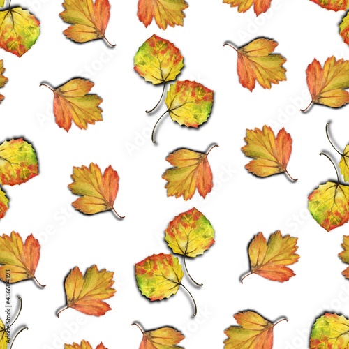 Autumn illustration, seamless pattern with yellow and orange leaves, painted in watercolor