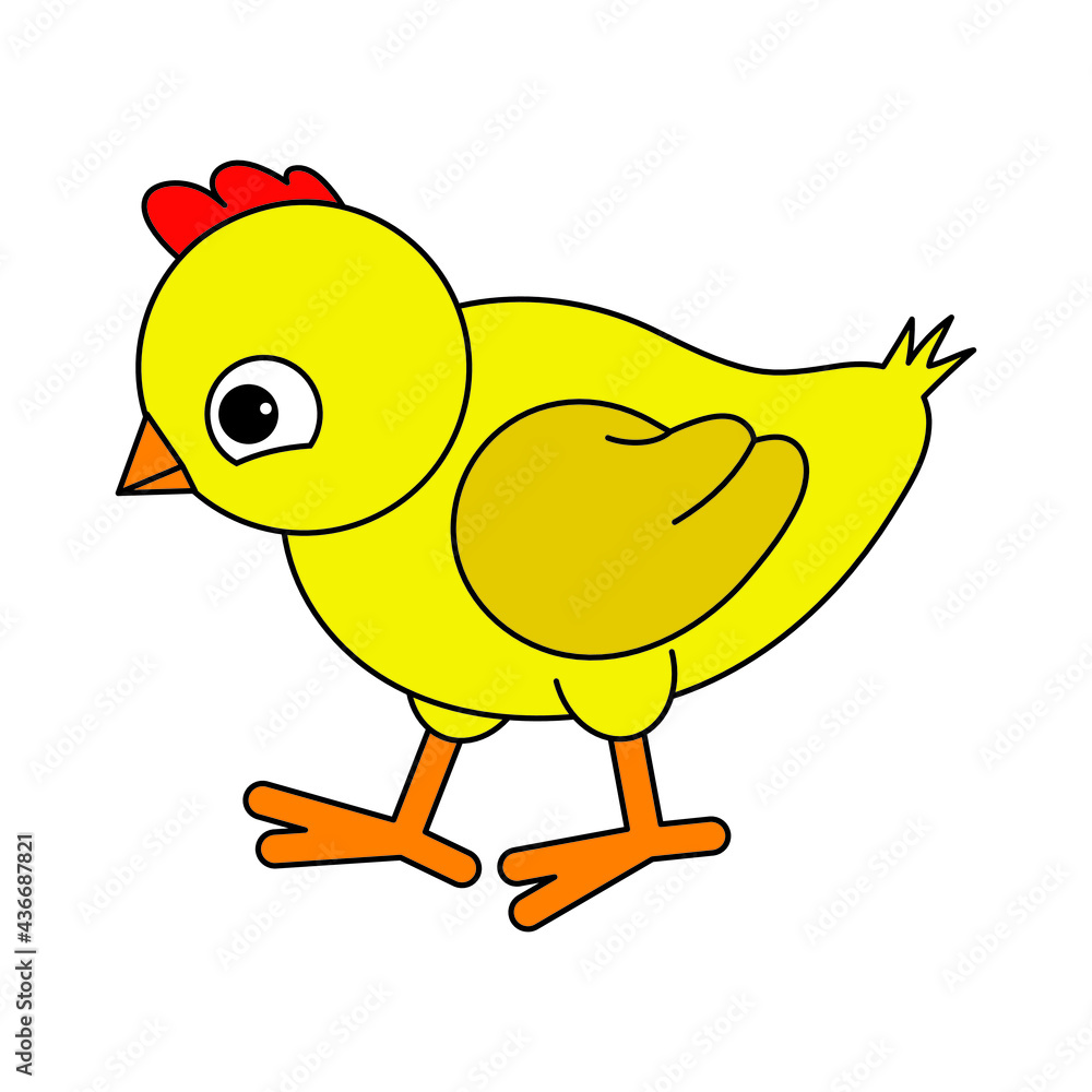 yellow chicken, cartoon, vector illustration yellow chicken, cartoon, vector illustration