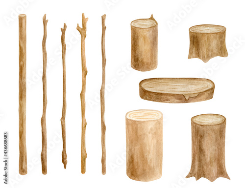 Watercolor wood sticks and stumps set. Hand drawn tree branches, wooden slice isolated on white. Bare twigs decoration, rustic natural eco style design.