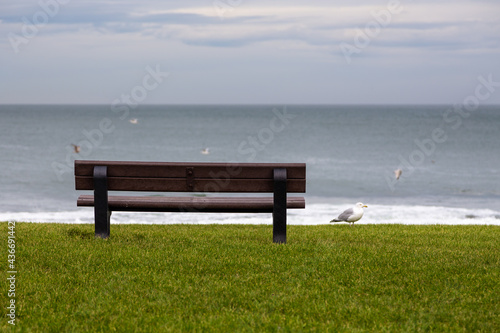 View of a bench, Peterhead, Aberdinshire, Scotland, UK. © Tomasz Wozniak