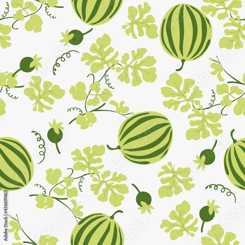 Seamless natural summer pattern,  watermelons on a white background. Hand drawing. Design for textiles, wallpapers, printed products. Vector illustration