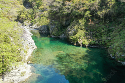 愛媛県久万高原町 面河川の風景