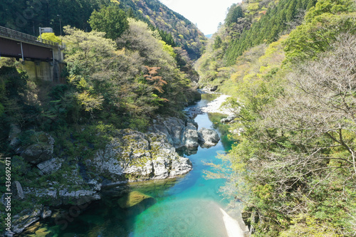 愛媛県久万高原町 面河川の風景
