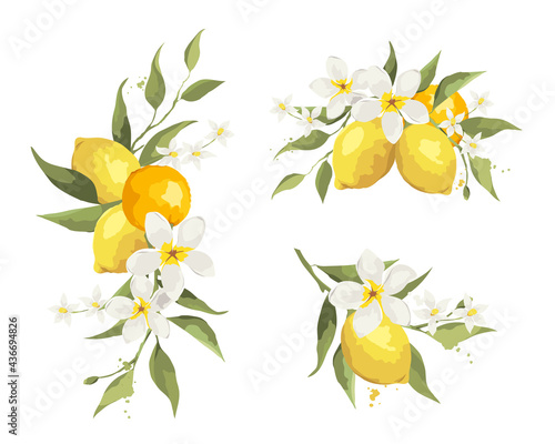 Summer decor with jasmine flowers and citrus branch. Floral design elements for wedding invitation, vector illustration, label.	