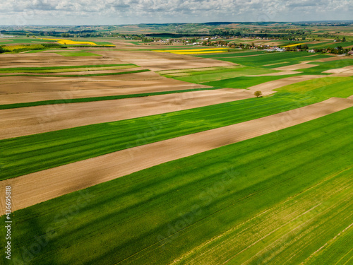 Green Vibrant Fields of Crop at Spring Season. Aerial Drone View.