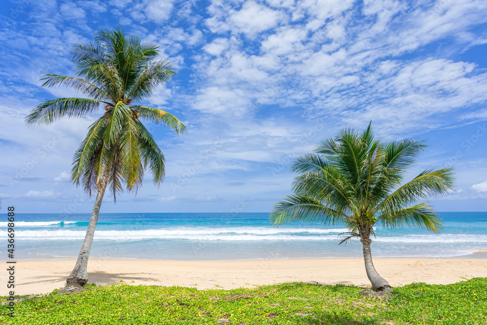 Sea sand beach background Summer beach with sunny sky and coconut tree Phuket island, Thailand Beautiful scene of blue sky and cloud  on sunny day Empty holiday sea where the horizon can see clearly