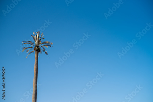 Communication antenna on fake palm tree © alipko