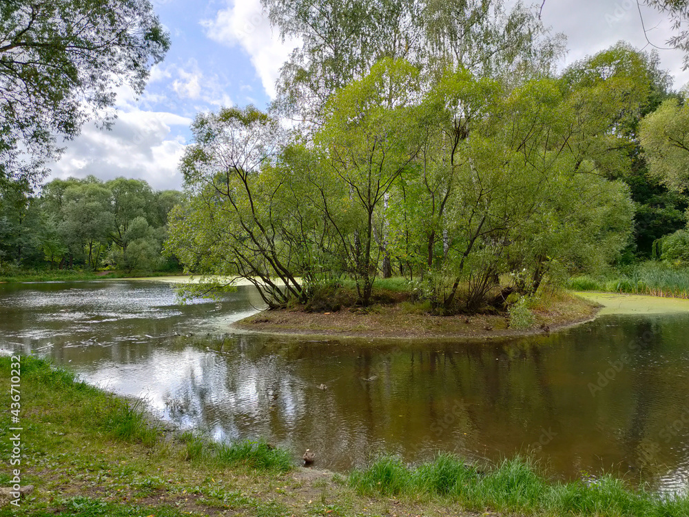 Landscape view of a green park with pond Landscape view of a green park with pond