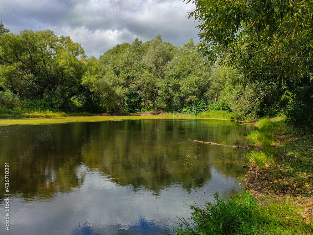 Landscape view of a green park with pond