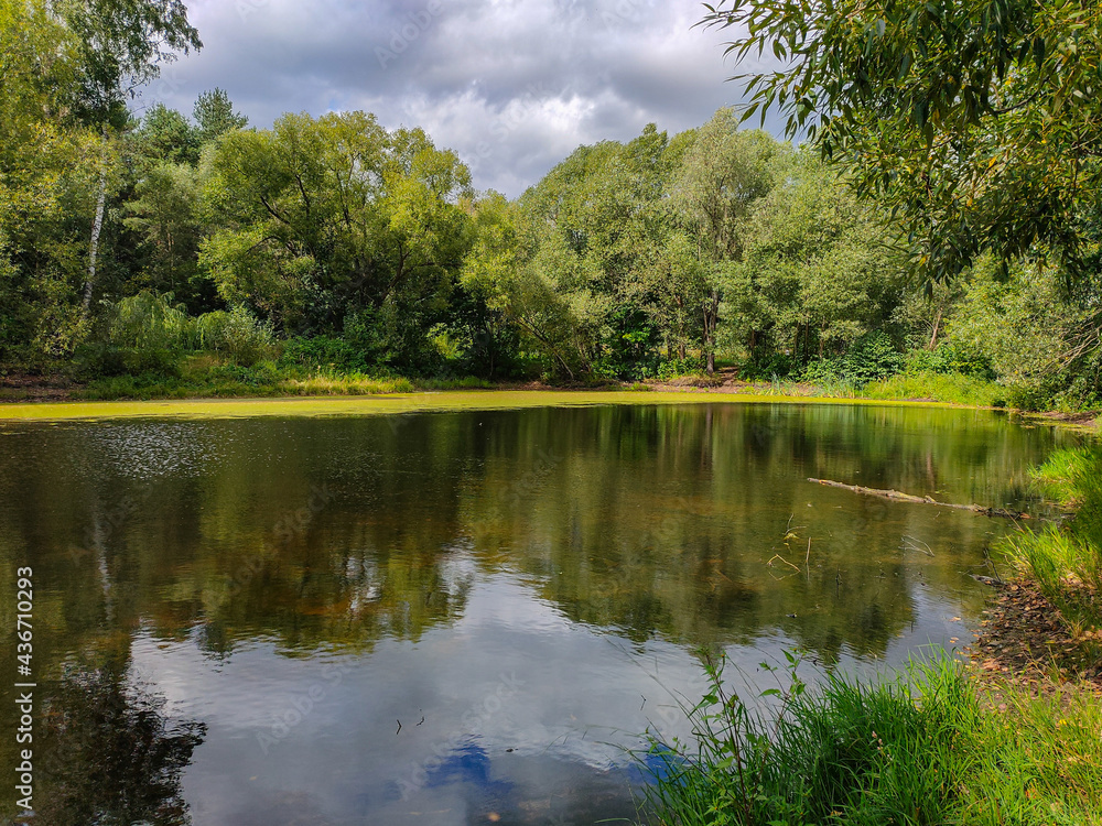 Landscape view of a green park with pond Landscape view of a green park with pond