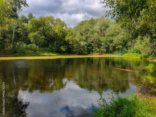 Fototapeta Naklejka Na Ścianę i Meble -  Landscape view of a green park with pond