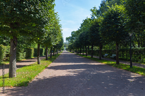 Green alley with footpath in the Kuskovo Estate © topolov_nick