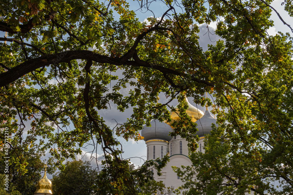 View of the Cathedral of Our Lady of Smolensk at the Novodevichy Convent