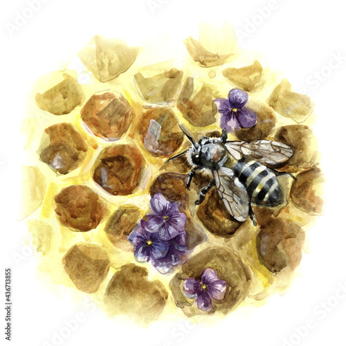 Foto Bee on honeycombs with flowers, extinction of bees