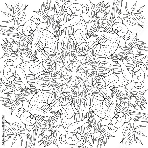 Photography Mandala coloring book for children and adults koala sitting on a tree