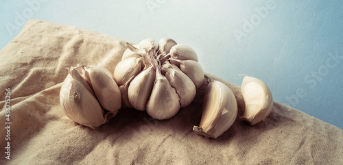 Fresh garlic on the table