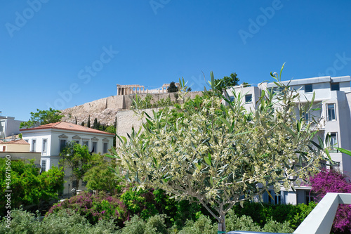 The Acropolis Museum in Athens, Statues and sculptures of the Parthenon. photo