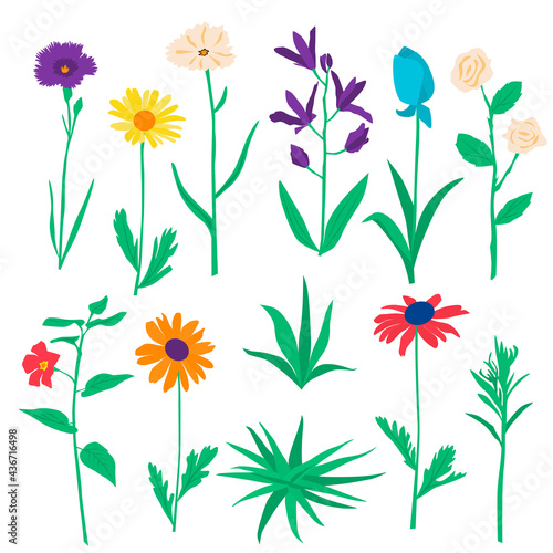 Vector garden and field spring flowers with leaves, flowering plants, twigs, silhouettes, floral flat design, hand drawing, multicolored blooming flowers, isolated on white background