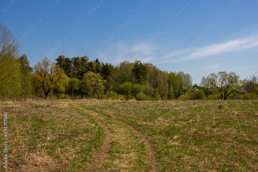 Spring forest and field road on a sunny day Spring forest and field road on a sunny day