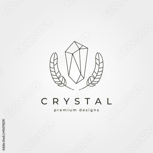 crystal stone and feathers logo vector symbol line art minimalist illustration design