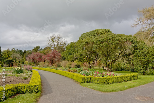  Path through Dublin botanic gardens in spring Download preview Path through Dublin botanic gardens on a cloudy day in spring, with many different trees, some of which are blossoming 